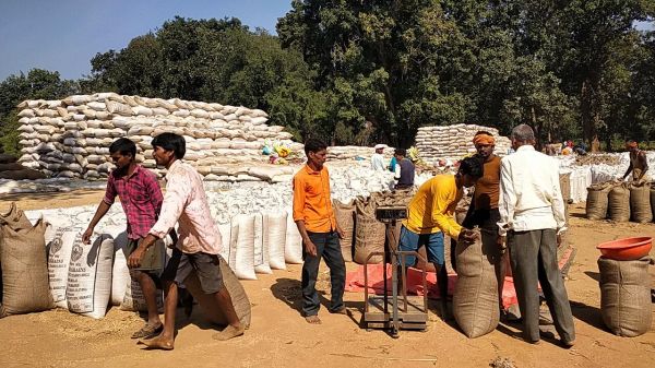 गरियाबंद में किसानों से 7 लाख क्विंटल धान की खरीदी 
