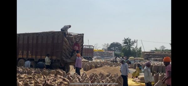 शिकारी केशली उपार्जन केंद्र प्रभारी सहित कंप्यूटर ऑपरेटर को काम से किया अलग, बर्खास्त की अनुशंसा