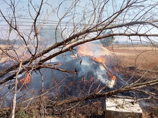 सडक़ किनारे खेत में रखे पैरावट में लगी आग, जलकर खाक, मुआवजे की मांग