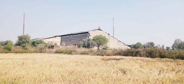बर्बाद फसल की जांच करने पहुंचे एसडीएम