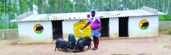मनरेगा के अंतर्गत लोगों को प्रत्यक्ष व अप्रत्यक्ष रूप से मिल रहा लाभ