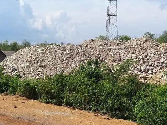 अवैध कटाई, कंस्ट्रक्शन कंपनी पर कार्रवाई नहीं