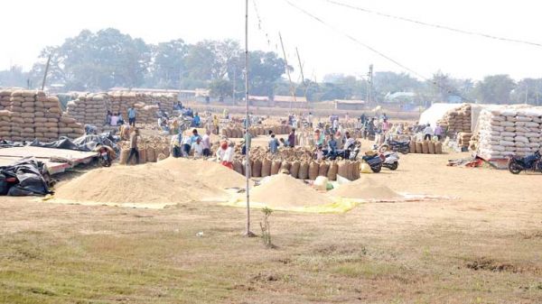 21 लाख टन धान खरीदा, चावल बनाने 10 लाख टन मिलिंग के लिए भेजा