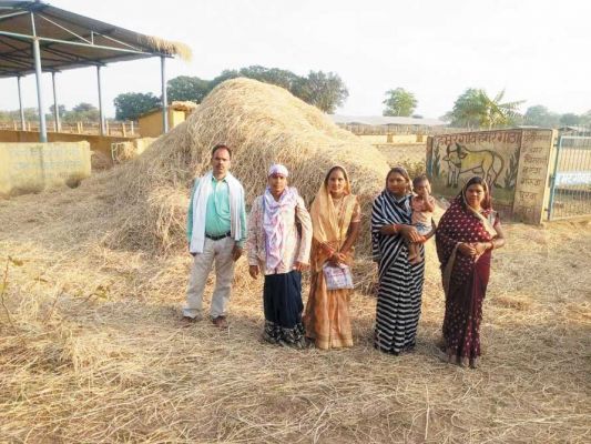 गोठानों में 10 से 15 दिसम्बर तक मनाया जाएगा पैरादान महोत्सव