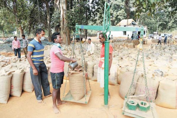 रायगढ़ में अब तक 2 लाख क्विंटल से अधिक धान खरीदी