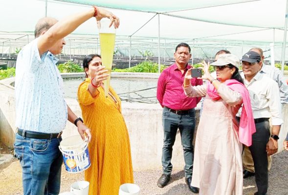 छत्तीसगढ़ में मछलियों के जेनेटिक्स में किया जा रहा अनुसंधान