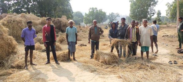 हाथियों ने फसल को पहुंचाया नुकसान किसान दहशत में, मुआवजा देने की मांग 