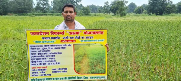 ग्रीष्मकालीन धान के बदले रागी फसल है फायदे का सौदा  इच्छुक किसान करा सकते है पंजीयन
