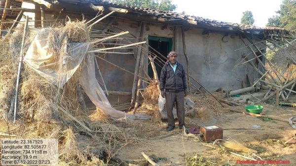 हाथी दल बैकुंठपुर वन परिक्षेत्र में, फसल-मकान को पहुंचा रहे नुकसान