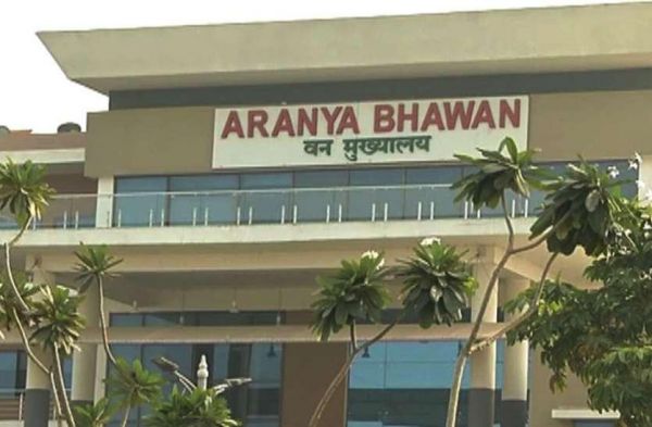 पाण्डेय-नरसिम्हराव का रिटायरमेंट इसी  माह, वन मुख्यालय में फेरबदल की तैयारी 