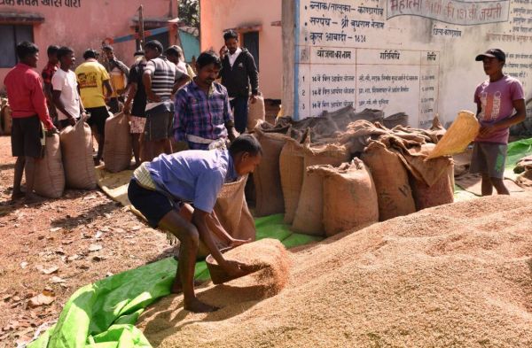 कलेक्टर ने धान उपार्जन केंद्रों  का किया निरीक्षण