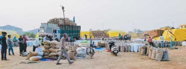 जिले में अब तक 3 लाख टन धान की खरीदी