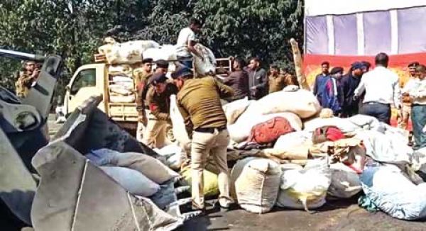 पुलिस ने 61 सौ किलो गांजा प्लांट में जलाया 