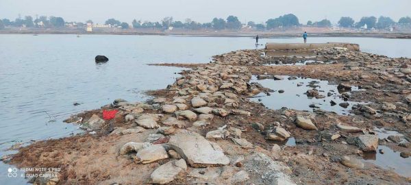 प्रदूषण: महानदी का अस्तित्व खतरे में!