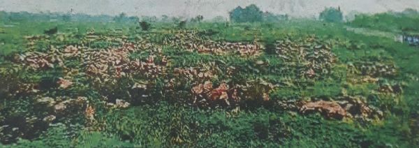 सिटी बस डिपो का नहीं हो रहा उपयोग, खंडहर में तब्दील हो रहा लाखों की लागत से बना भवन