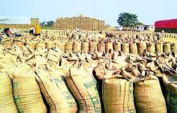 बलौदाबाजार में अब तक 25 लाख क्विंटल धान की खरीदी