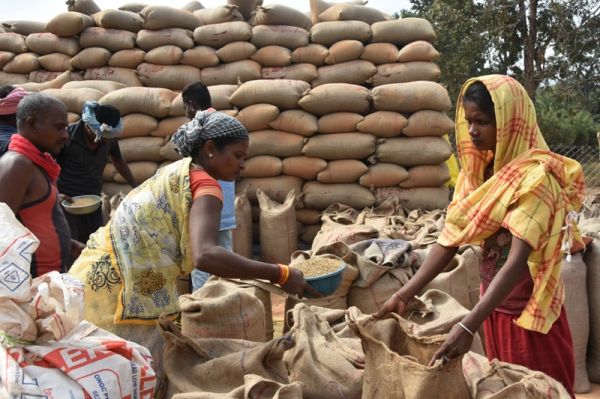 नए केन्द्र केशापुर में 14 गांव के किसानों से धान खरीदी