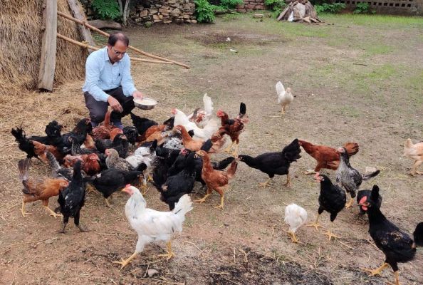 कुक्कुट पालन कर समूह की महिलाएं हो रहीं आत्मनिर्भर