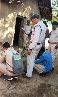 छापा, घरों से लट्ठे व हाथ चिरान जब्त