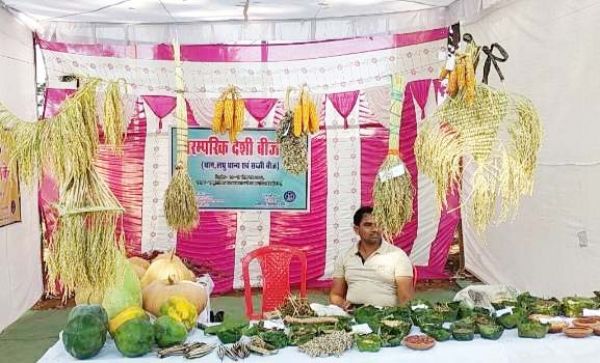 राज्य स्तरीय बीजोत्सव: पारम्परिक देशी जैविक कृषि फसलों की प्रदर्शनी 