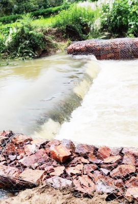 शासन की नरवा योजना से बदली हरडुआ की तस्वीर