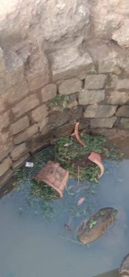 सिरफिरे ने नर्सरी में बेचने के लिए रखे पौधों को तहस-नहस कर कुएं में डाल दिया