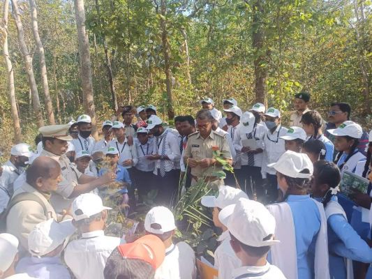 वन मितान प्रशिक्षण सह जागरूकता शिविर का आयोजन