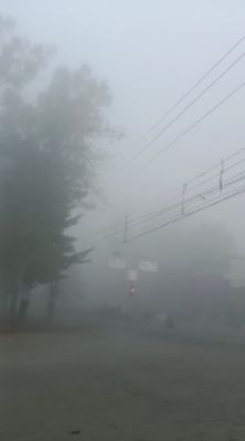 घने कोहरे के आगोश में सरगुजा, दृश्यता 10 मीटर तक सिमटी
