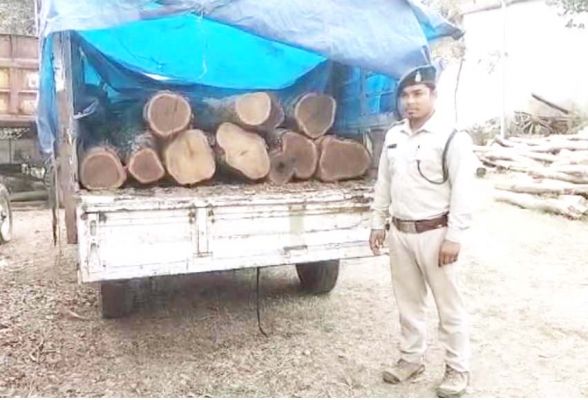 अवैध परिवहन करते 10 नग सागौन जब्त