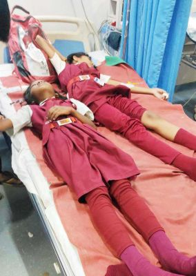 मधुमक्खी के हमले से दर्जनों घायल, 3 स्कूली छात्राओं को किया गया भर्ती