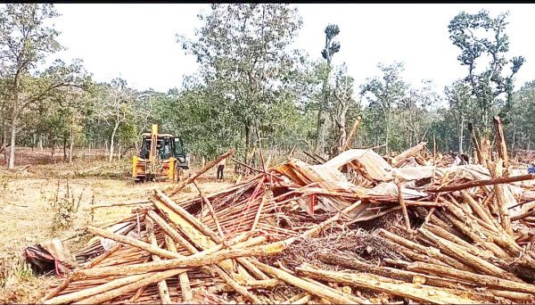 वन विभाग ने अतिक्रमणकारियों के घरों पर चलाया बुलडोजर