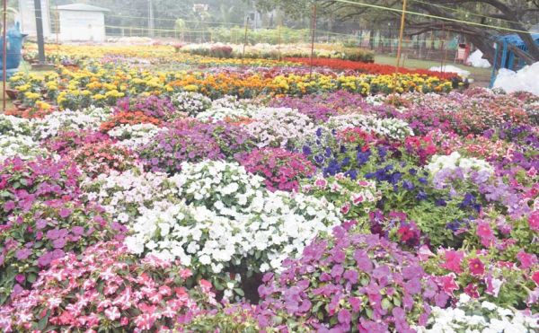 बागो में बहार...