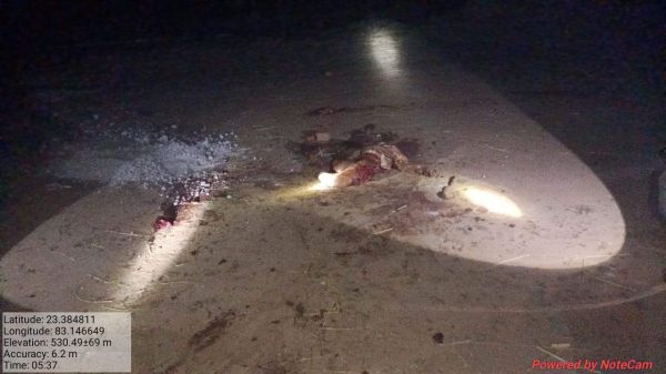 घर के पास महिला को हाथी ने  कुचलकर मार डाला