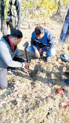 खैरागढ़ पुलिस को मिला कौरूआ के जंगल में आईईडी