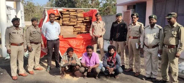 वन विभाग ने की अवैध सागौन चिरान जब्त