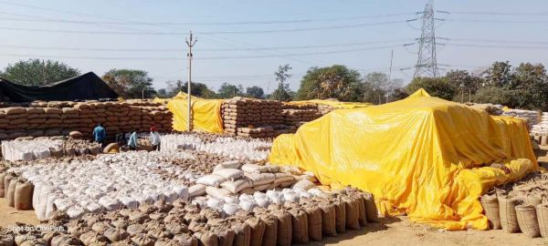 दो माह में 12 हजार किसानों ने बेचा 108 करोड़ का धान