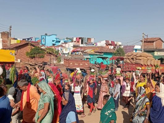 धामनसरा में धूमधाम से मनी शाकंभरी जयंती