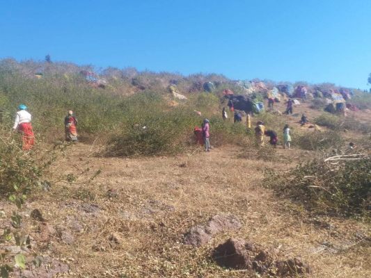 मैनपाट महोत्सव अब 14 से 16 फरवरी तक, भव्यता के साथ बेहतर व्यवस्था पर जोर