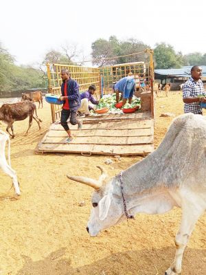 नंदा ने 10 बंडल पैरा  और   पटवा ने  16 बोरी पत्ता गोभी  दान किया