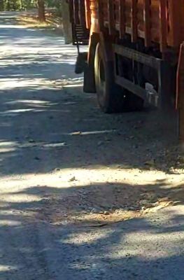 पांच साल गारंटी पूरा होने से पहले ही दम तोड़ रही सडक़ें