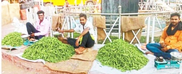 चना ने दिया धोखा तो मटर को अपनाया, ब्लॉक में तीन करोड़ का कारोबार