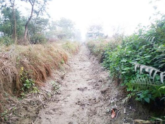 नहरों में पानी नहीं, किसान चिंतित