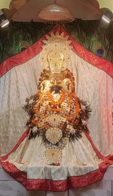 श्याम प्रेमियों ने सुमधुर भजनों के साथ कलश यात्रा निकाली