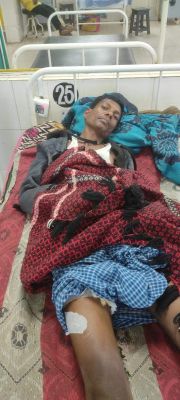 बुजुर्ग ने दिखाई हिम्मत, जा भिड़ा भालू से, दोस्तों ने लाया घर तक