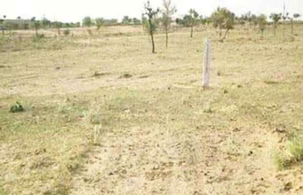 तमनार की तर्ज पर धरमजयगढ़ में भी सामने आ सकता है मुआवजा घोटाला?