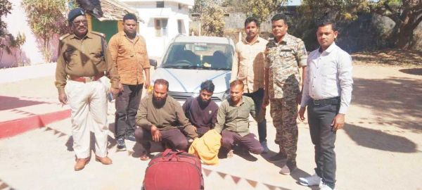 अवैध गांजा तस्करी, 3 बंदी