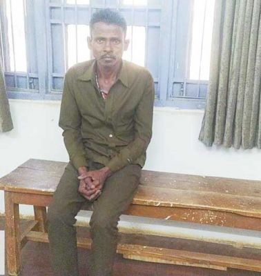 राष्ट्रीय पक्षी मोर  का शिकारी सुखसिंग पकड़ाया