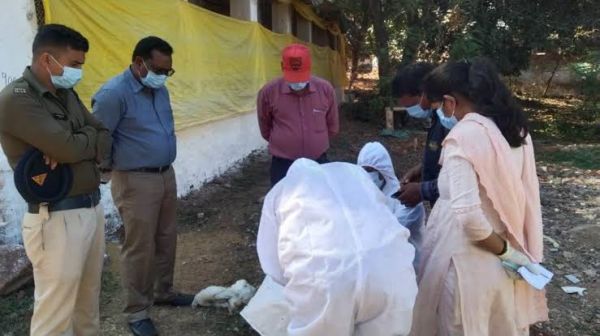 3700 मुर्गियों की मौत रानीखेत बीमारी से, पीएम में खुलासा