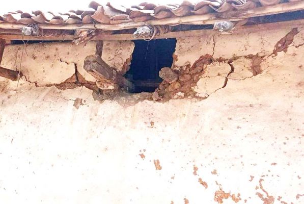 जंगली हाथी ने मचाया उत्पात मकान तोड़े, फसलें रौंदी