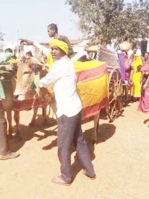 बैलगाड़ी से दुल्हन को ले गए घर, देखने उमड़ी भीड़  